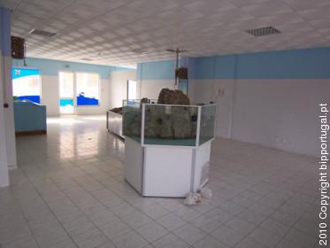 vilamoura ,algarve, casas, apartamentos algarve, moradias vilamoura, vivendas, imobiliaria algarve, classificados, Albufeira, Loule, Quarteira, propriedades, anuncios, aluguer