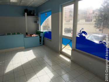 vilamoura ,algarve, casas, apartamentos algarve, moradias vilamoura, vivendas, imobiliaria algarve, classificados, Albufeira, Loule, Quarteira, propriedades, anuncios, aluguer