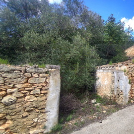 ruina venda boliquime