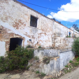 ruina venda boliquime