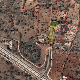 ruina venda boliquime